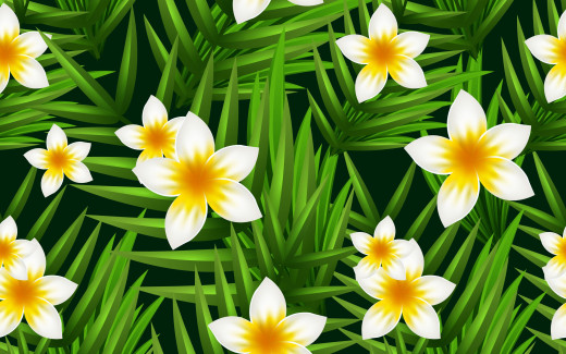 1245511 (a): :3000x1871